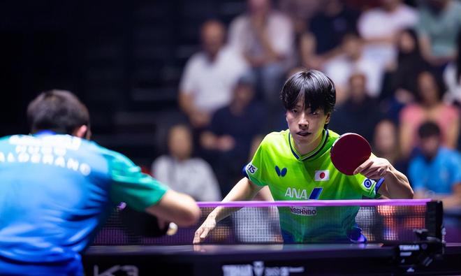 TYC介绍图片