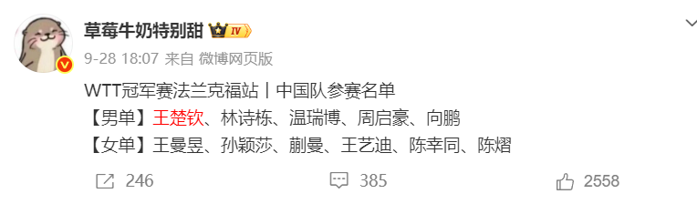 专业TYC服务