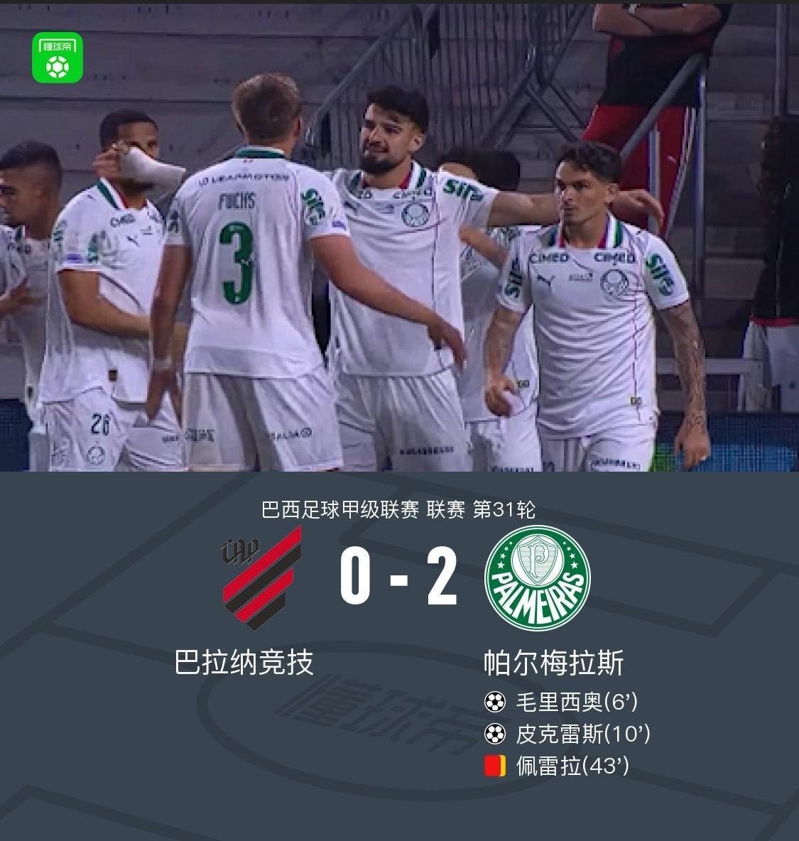 专业TYC服务